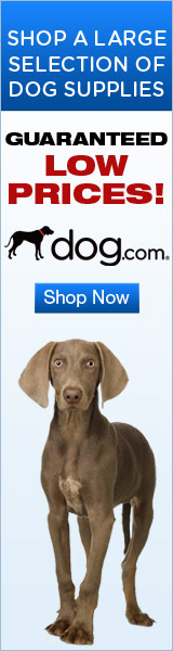dog.com